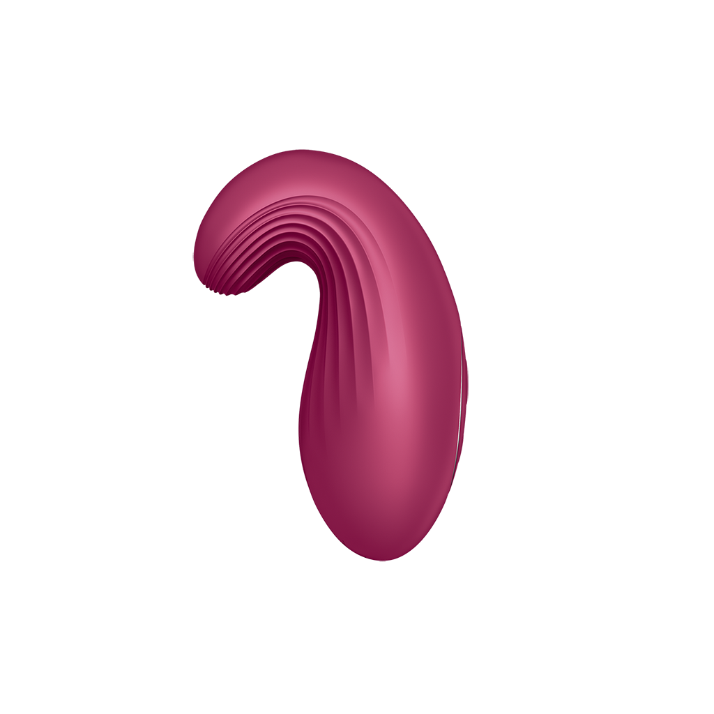 Satisfyer Dipping Delight Otros Satisfyer 2