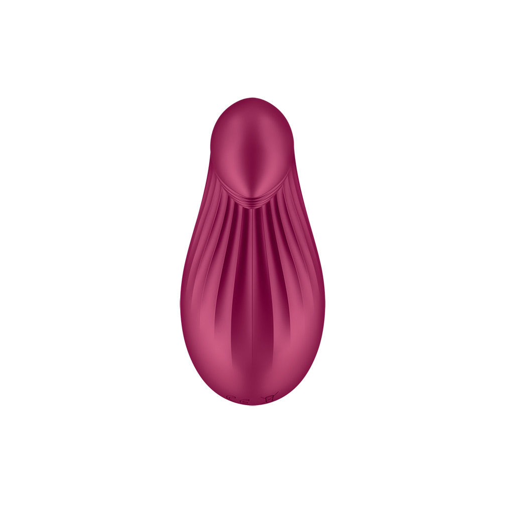 Satisfyer Dipping Delight Otros Satisfyer 5