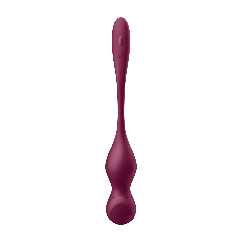 Satisfyer Love Birds Vary Connect App