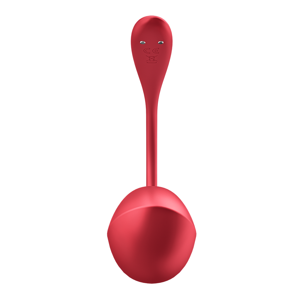 Satisfyer Shiny Petal Connect App Otros Satisfyer 3