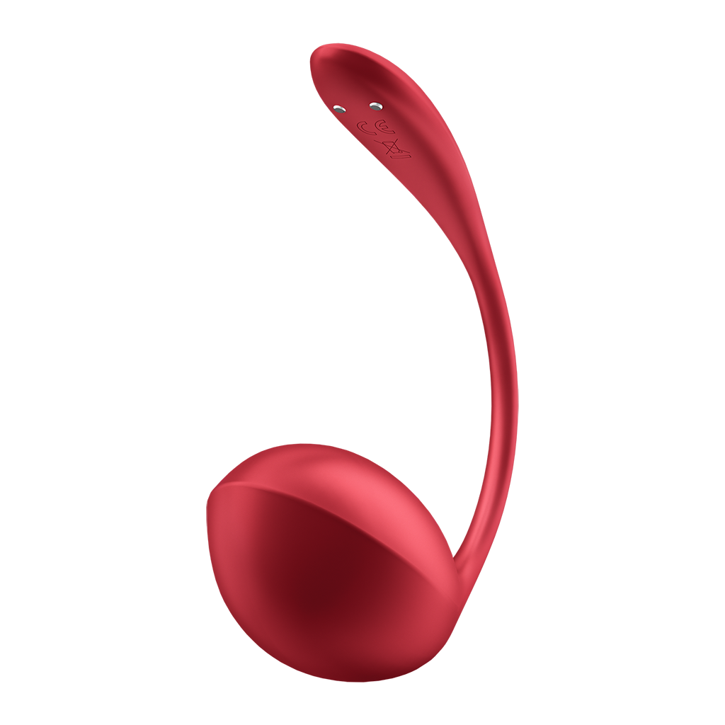 Satisfyer Shiny Petal Connect App