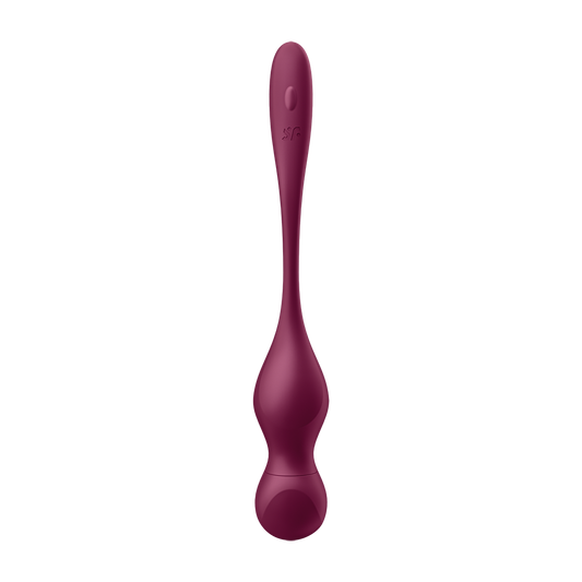 Otros Satisfyer Love Birds Vary Connect App