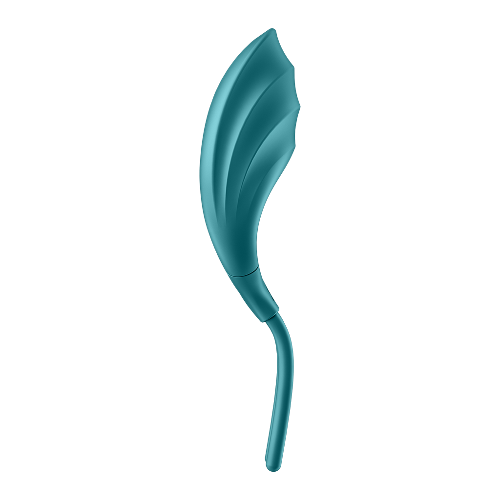 Satisfyer Swordsman Otros Satisfyer 5
