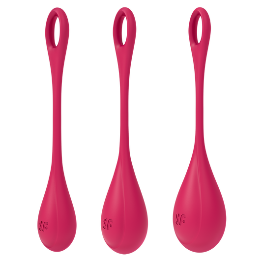 Otros Satisfyer Yoni Power 1